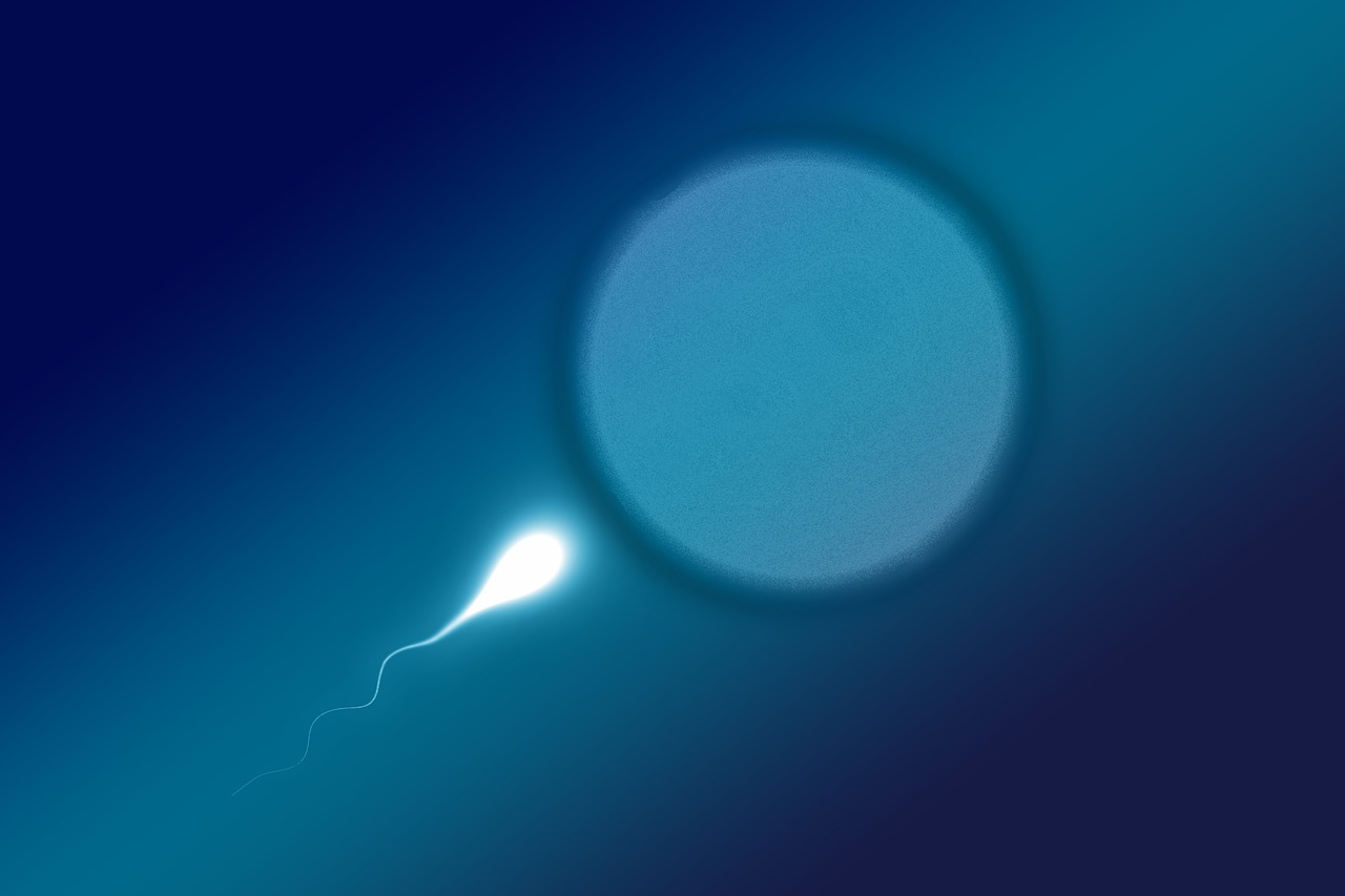 学科轨道影响欧洲青少年的性健康